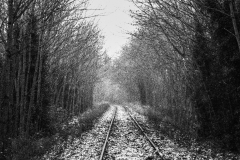 Aly-Allison-Nanaimo-Winter-Tracks