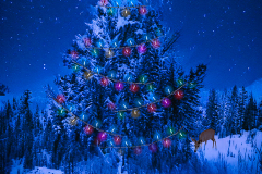 Sue-Nurmi-Winter-Wonderland-Tree